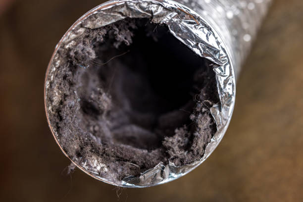 Best Affordable HVAC Duct Cleaning  in Bishopville, SC